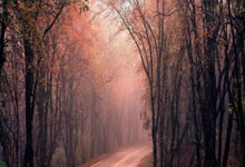 里尔队在客场胜出，继续领先排名稳定