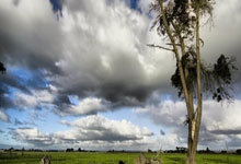 集体发挥不佳，弗赖堡主场遭遇惨败