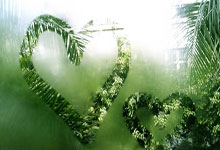 肯尼亚田径运动员冲刺半决赛